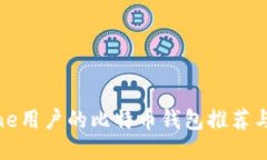 适合iPhone用户的比特币钱