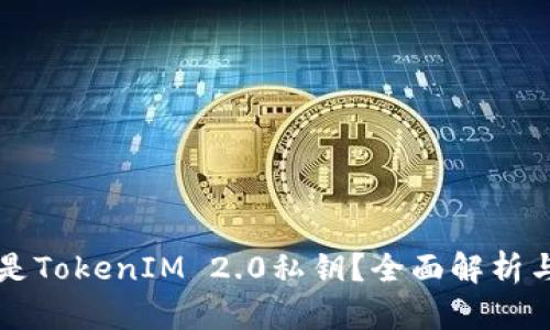 什么是TokenIM 2.0私钥？全面解析与应用