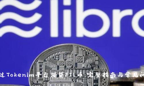 如何通过Tokenim平台借贷FIL币：完整指南与常见问题解答