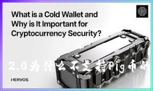 Tokenim 2.0为什么不支持Pig币的原因解析