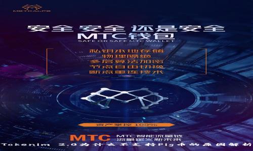 Tokenim 2.0为什么不支持Pig币的原因解析