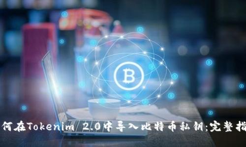 如何在Tokenim 2.0中导入比特币私钥：完整指南