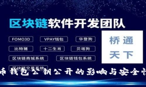 比特币钱包公钥公开的影响与安全性分析