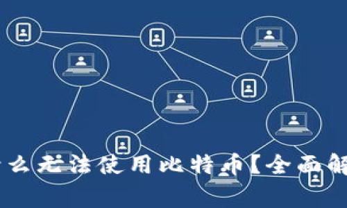 Tokenim 2.0：为什么无法使用比特币？全面解析与常见问题解答