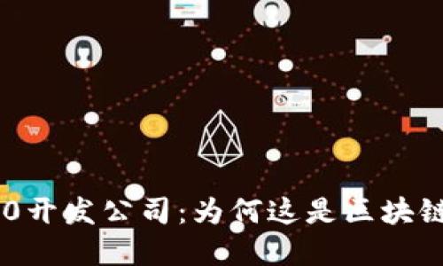 选择TokenIM 2.0开发公司：为何这是区块链项目成功的关键