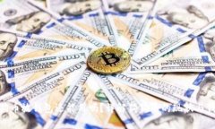 : 以前狗狗币放钱包还能用吗？详解狗狗币的现状