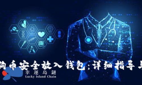 如何将狗狗币安全放入钱包：详细指导与注意事项