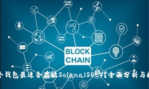 哪个钱包最适合存放Solana（SOL）？全面分析与推荐