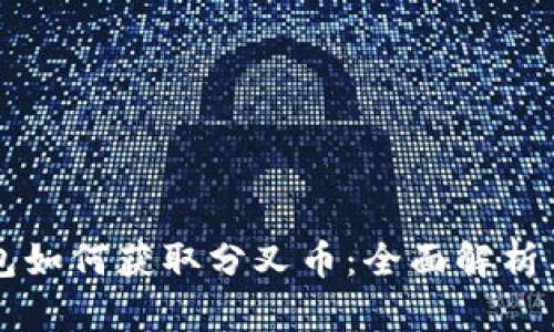 比特币钱包如何获取分叉币：全面解析与实用指南