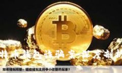 山东扣押比特币钱包诈骗案：深度剖析与应对策
